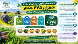 اجرای مزارع الگویی ترویجی در بیش از ۶ هزار و ۲۴۵ هکتار از اراضی کشاورزی استان آذربایجان شرقی